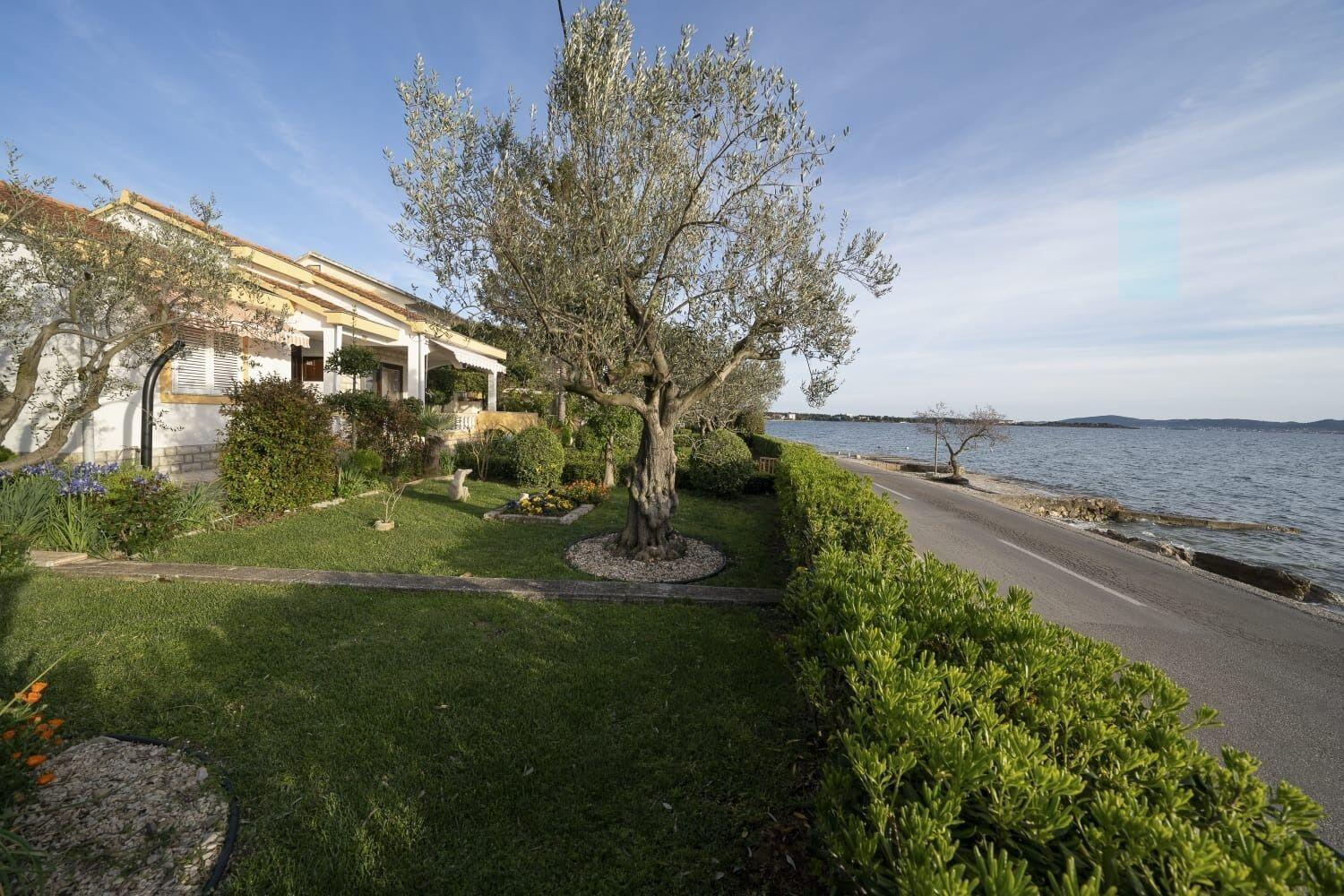 House Villa Petar 1 扎达尔 外观 照片